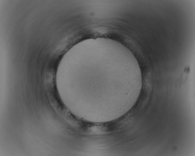 X0000113230468200910081409