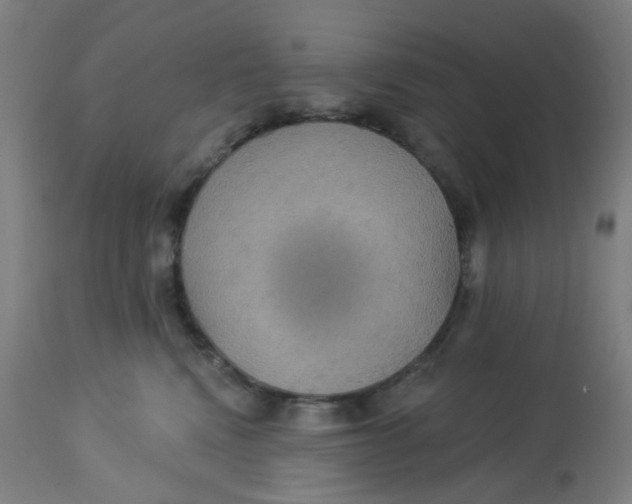 X0000113230472200910081410