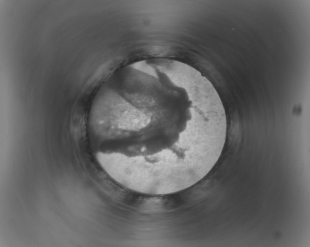 X0000113230473200910081410