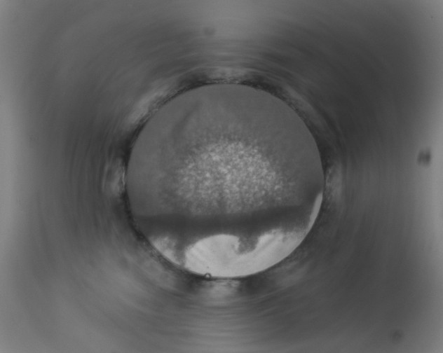 X0000113230474200910081410