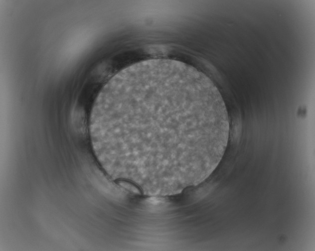 X0000113230477200910081410