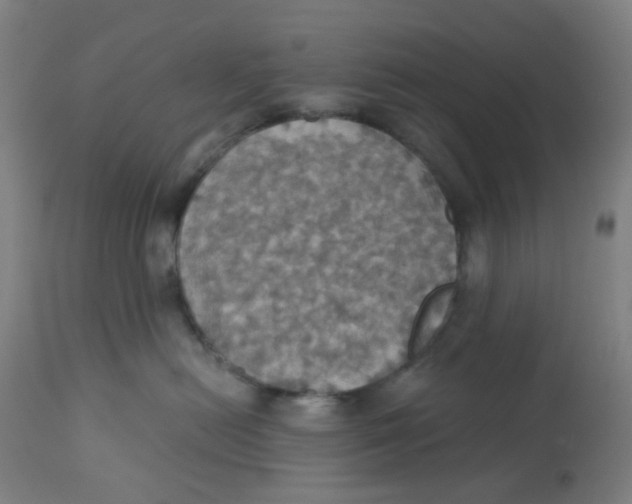 X0000113230478200910081410