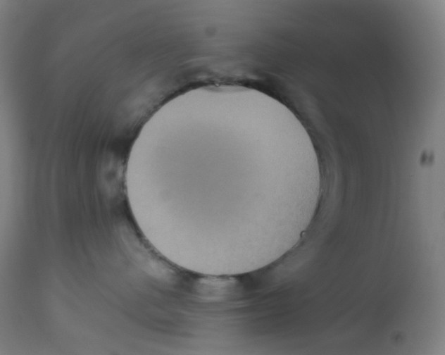 X0000113230480200910081410