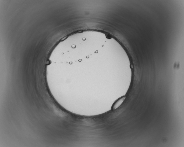 X0000113230481200910081409