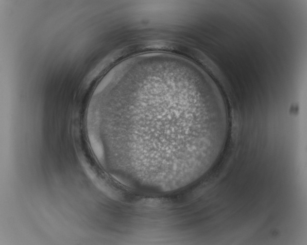 X0000113230482200910081409