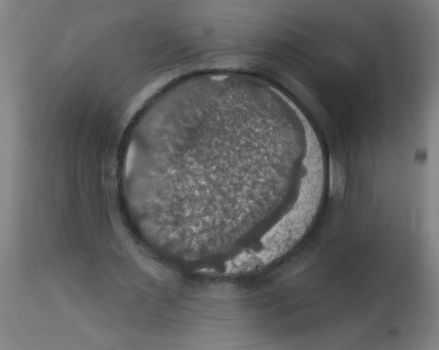 X0000113230483200910081409