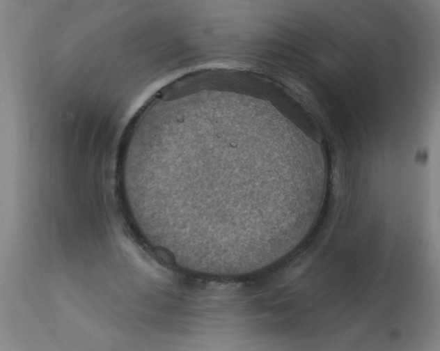 X0000113230484200910081409