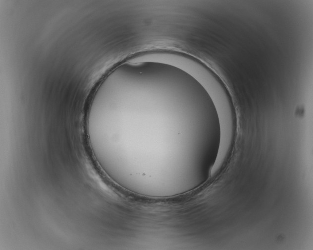 X0000113230485200910081409