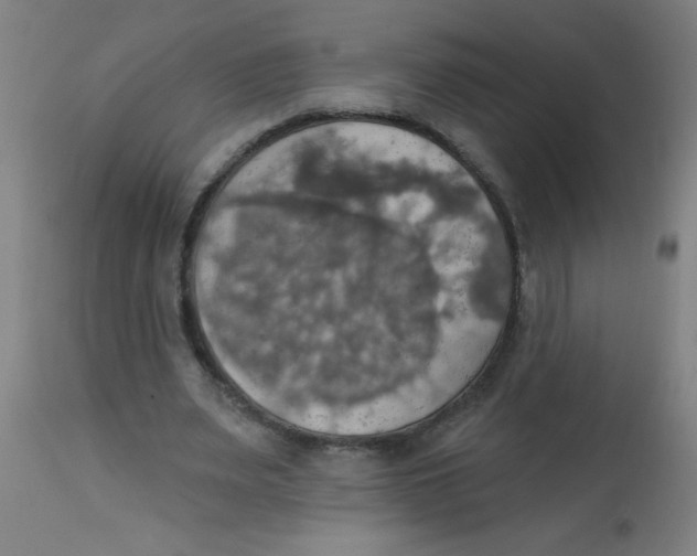 X0000113230487200910081409