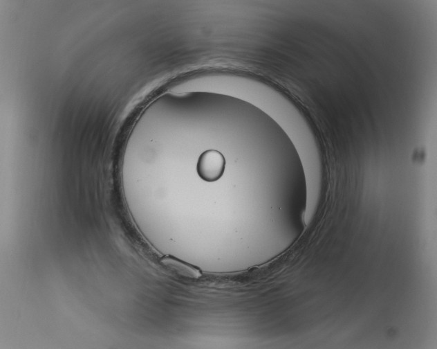 X0000113230488200910081409