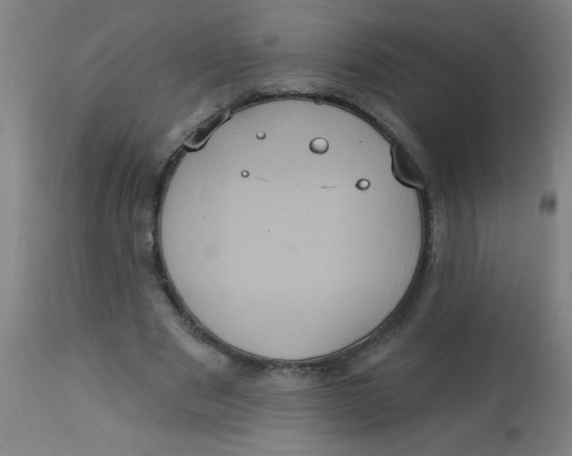 X0000113230489200910081409