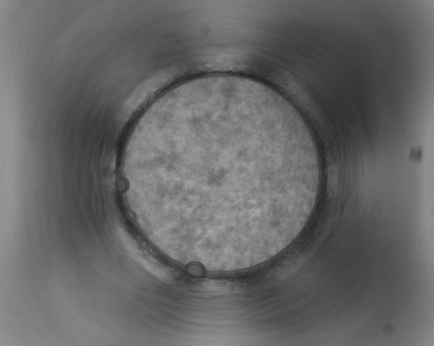 X0000113230490200910081409