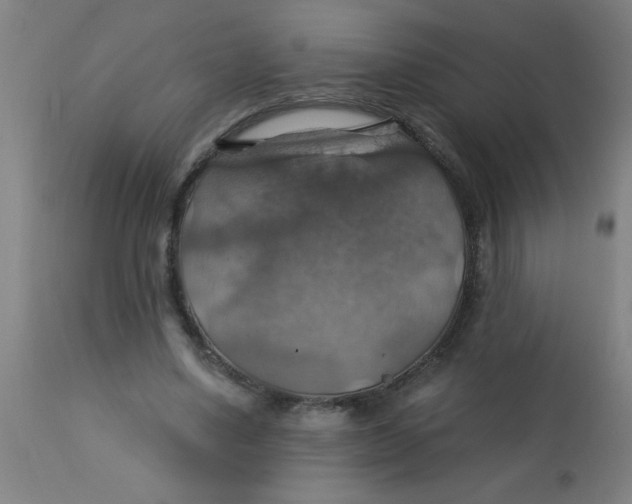 X0000113230491200910081409