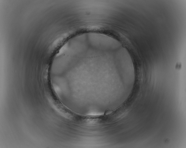 X0000113230495200910081409