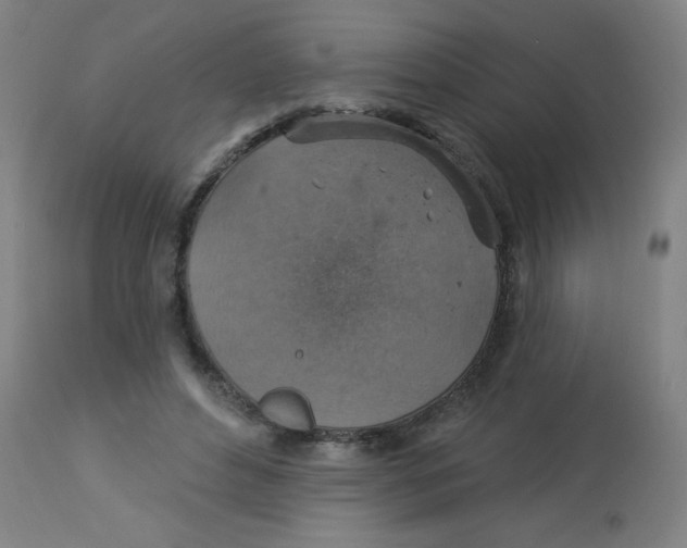 X0000113230496200910081409