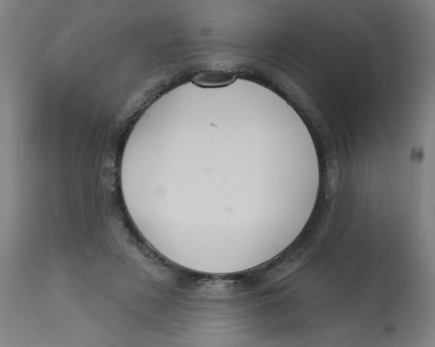 X0000113230497200910081409