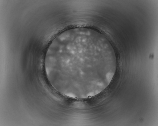 X0000113230499200910081409