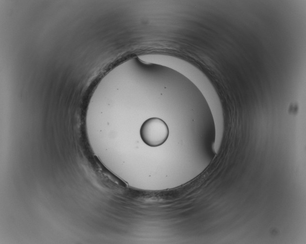 X0000113230500200910081409