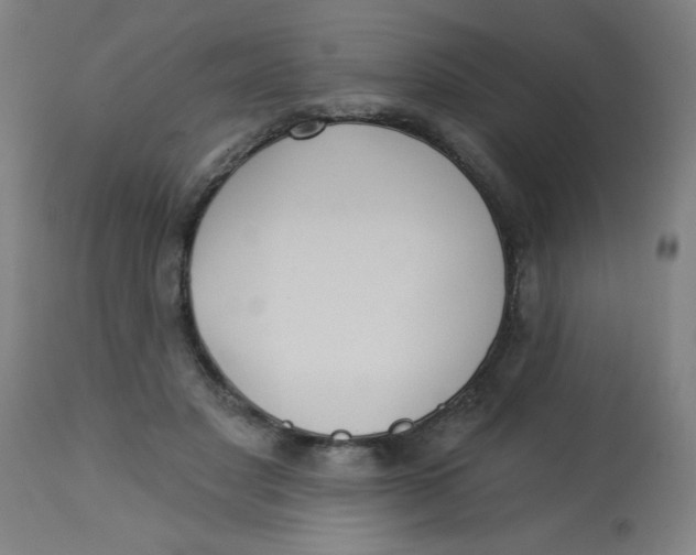 X0000113230501200910081409