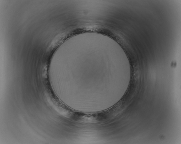 X0000113230502200910081409