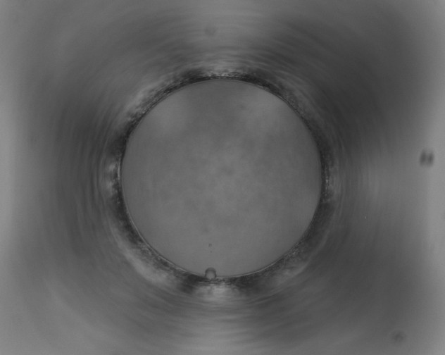 X0000113230503200910081409