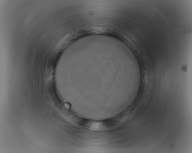 X0000113230507200910081409