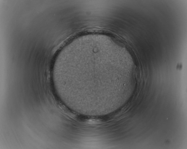 X0000113230508200910081409