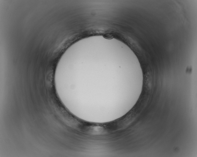 X0000113230509200910081409