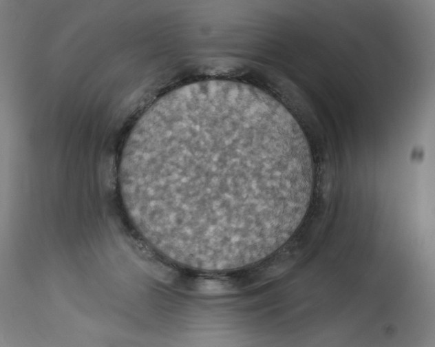 X0000113230510200910081409