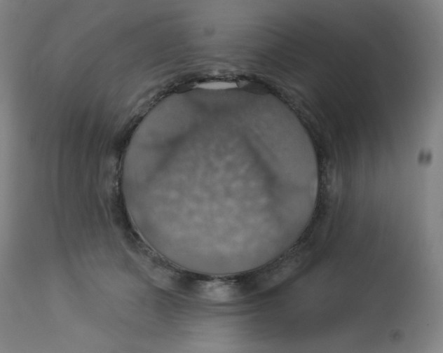 X0000113230511200910081409