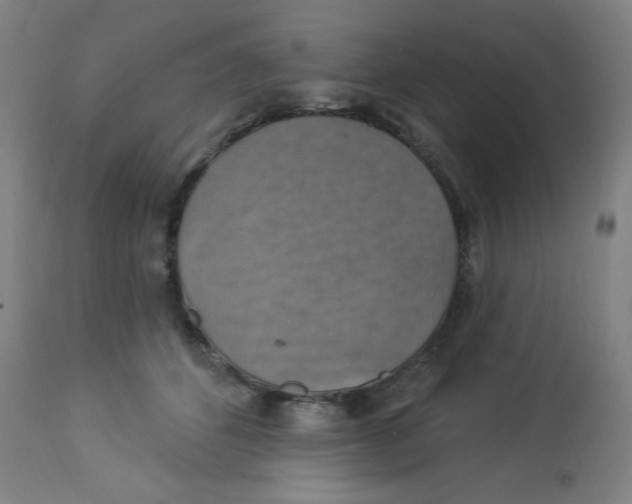 X0000113230512200910081409