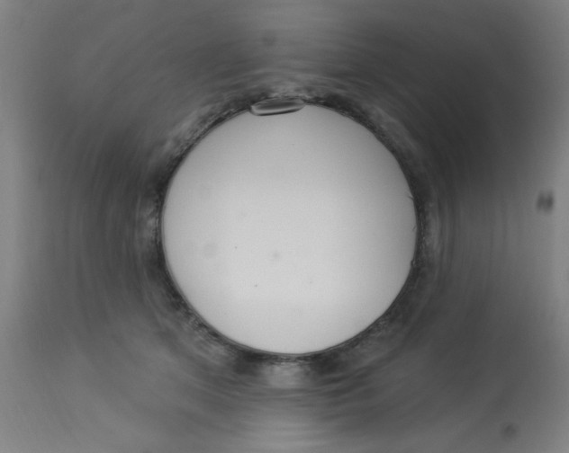 X0000113230513200910081409