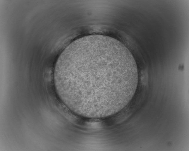 X0000113230514200910081409