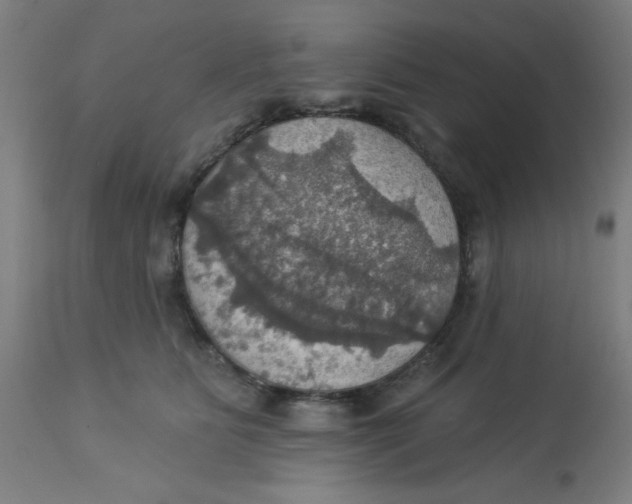 X0000113230515200910081409