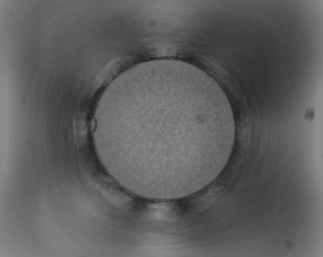 X0000113230516200910081409