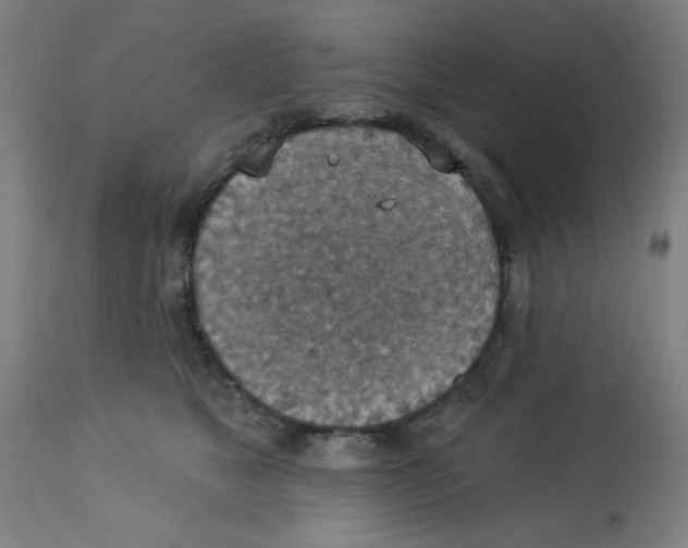 X0000113230517200910081408