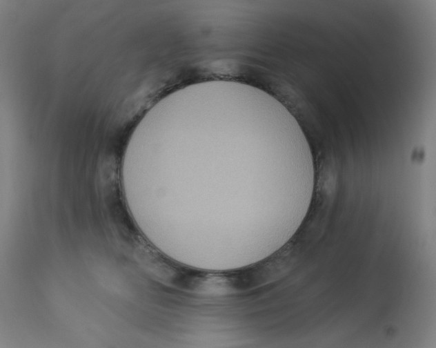 X0000113230518200910081408