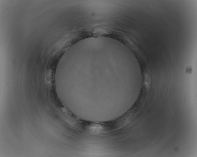 X0000113230519200910081408