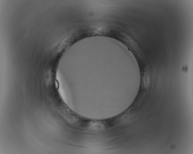 X0000113230520200910081408