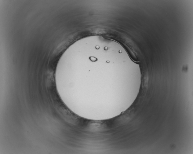 X0000113230521200910081408