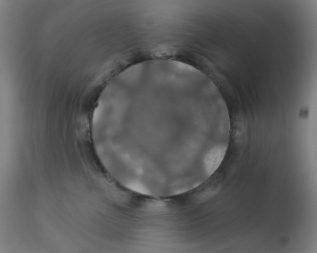 X0000113230523200910081408