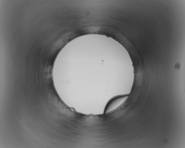 X0000113230525200910081408