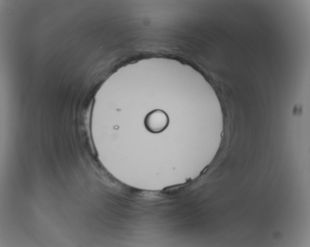 X0000113230528200910081408