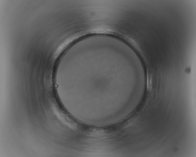 X0000113230531200910081408