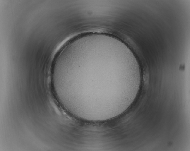 X0000113230532200910081408