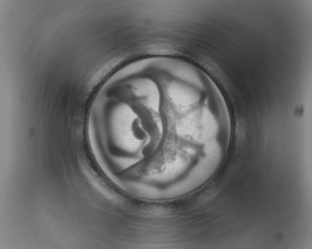 X0000113230533200910081408