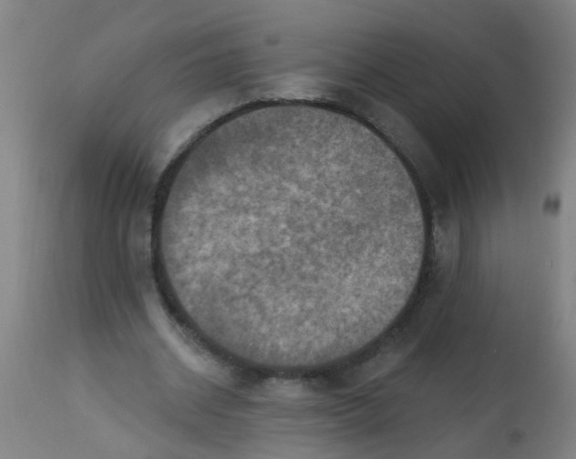 X0000113230534200910081408