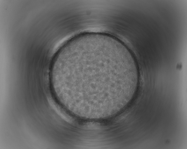 X0000113230535200910081408