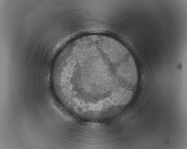 X0000113230539200910081408