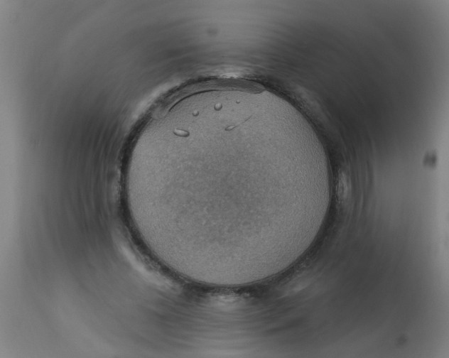 X0000113230540200910081408